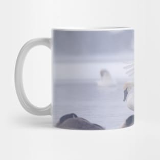 Trumpeter Swans in the mist. Mug